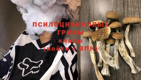 MDMA Premium VHQ Медвежьегорск